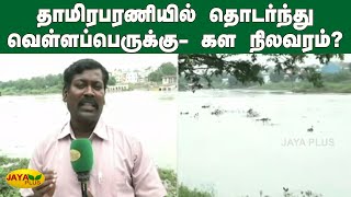 தாமிரபரணியில் தொடர்ந்து வெள்ளப்பெருக்கு- கள நிலவரம்? | Tirunelveli | Flood | Thamirabarani screenshot 5