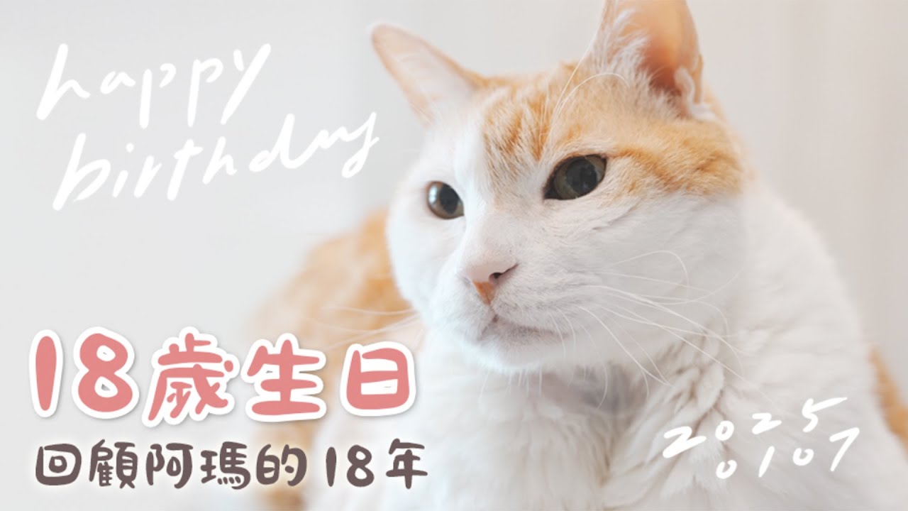 【黃阿瑪的後宮生活】阿瑪18歲生日！回顧阿瑪的18年！