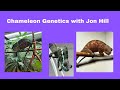 Chameleon genetics with jon hill