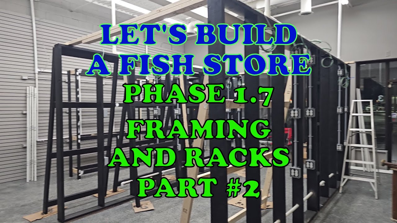 Let's Build a Fish Store Phase 1.7 Framing & Racks Part #2 - YouTube