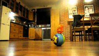 Video Thumbnail for DSC 5779