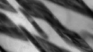 Phase transformations in steels 17
