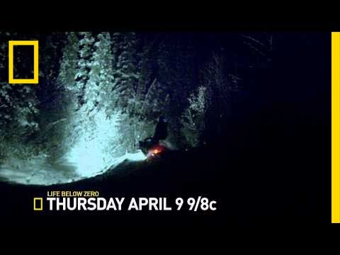 Life Below Zero - Series Trailer | Life Below Zero