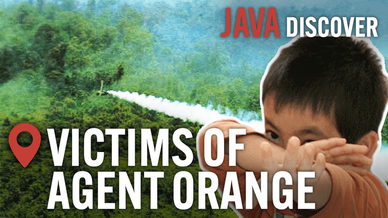 The Toxic Impact of Agent Orange: Child Victims of the Us Chemical Warfare in Vietnam