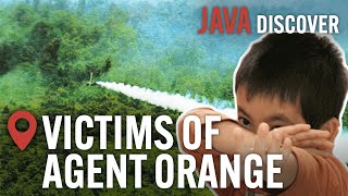 The Toxic Impact of Agent Orange: Child Victims of the US Chemical Warfare in Vietnam | Documentary