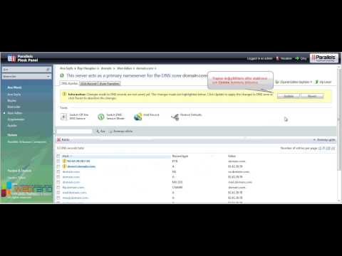 Plesk Panel Delete DNs and Reset DNS