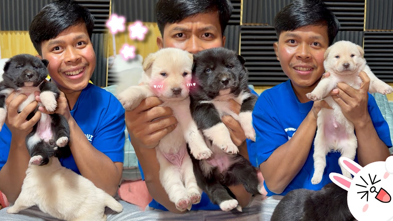 អាតឿ-អាតុញ នោមដាក់ពេញបន្ទប់ដេក🔥😂ពូចិត្រFunny 