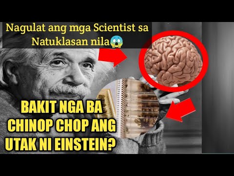 Ano Ang meron sa utak ni Albert Einstein  At bakit ito ni nakaw at itinago.|DMS TV|