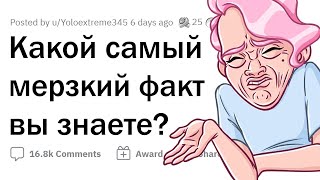 видео: НЕПРИЯТНЫЕ ФАКТЫ, которые лучше НЕ ЗНАТЬ 😬 картинка: НЕПРИЯТНЫЕ ФАКТЫ, которые лучше НЕ ЗНАТЬ 😬