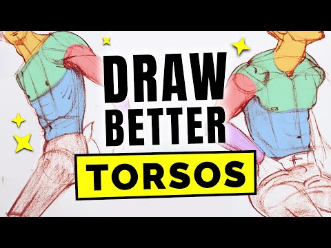 How to Draw MALE TORSOS!
