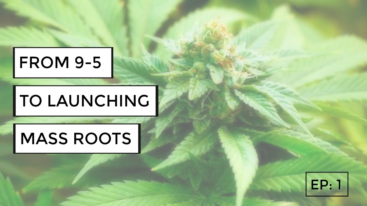 From 9-5 To Launching Mass Roots (Unconventional Life Ep: 1)