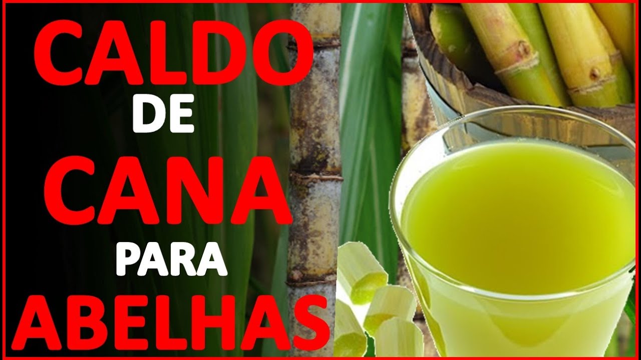 CALDO DE CANA PARA AS ABELHAS  | ALIMENTAÇÃO ENERGÉTICA PARA ABELHAS COM CALDO DE CANA