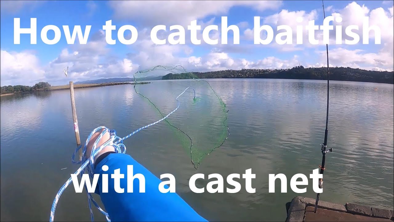 How to use a small cast net - NZ Basic Fishing 