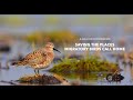 Waterbird Conservation and Flyways