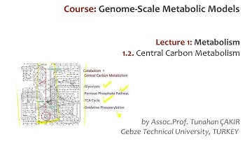 Lecture 1.2 - Central Carbon Metabolism | Genome Scale Metabolic Models