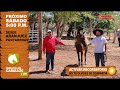 Programa 06 Hablemos de Caballos y Más