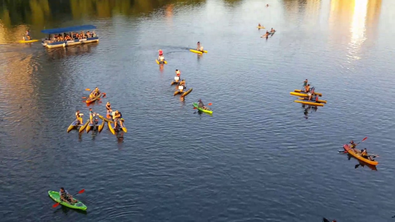 Bats in Austin Texas YouTube