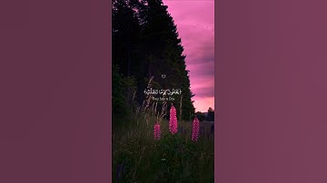 تلاوة خاشعة تذكرك بالآخرة {يخافون يوماً تتقلب فيه القلوب والأبصار} 🕊️#tiktok #travel #quran