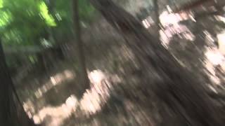 Sprain Ridge Park Ny Mountain Biking