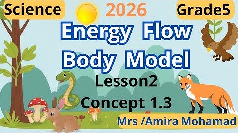Science Grade5 | Energy Flow Body Model | lesson 2 Concept 1.3 | First term 2026 شرح ساينس خامسة