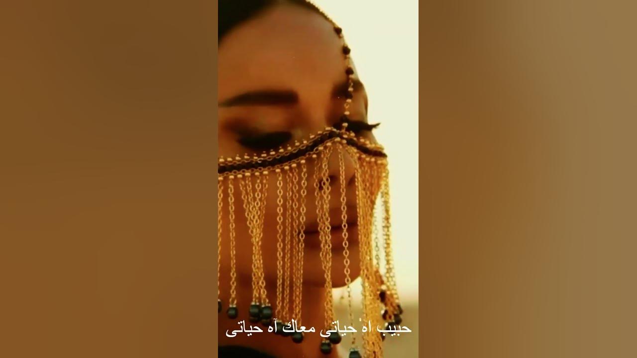 Habeb Hayaty (Slowed+Reverb) Habeb Hayaty (Slowed+Reverb)