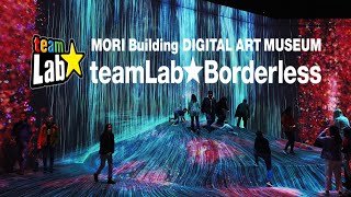 2024 teamLab⭐️ Borderless: Mori Building Digital Art Museum: