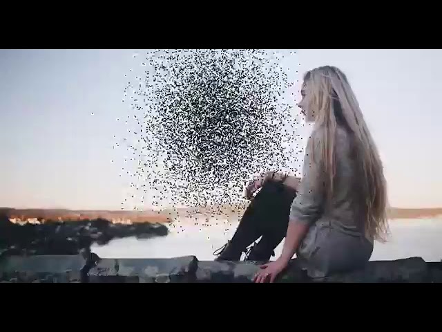 Sabu_ & _ Han-_Танцуй