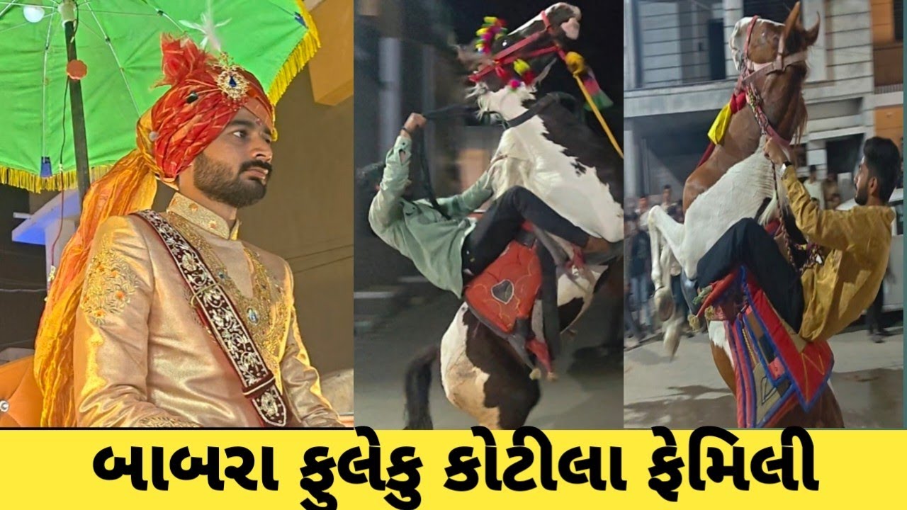 બાબરા ફુલેકુ કોટીલા ફેમિલી ||fuleku 2026