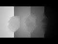 Free Smudge Tool 3 Pack (CtrlPaint.com)