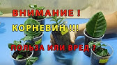 Гетероауксин Приготовление раствора. - YouTube