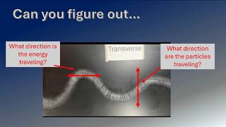 Try This - Transverse and Longitudinal Waves on a Slinky