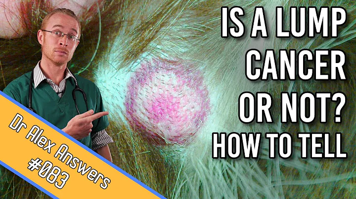 How to Tell if My Dogs Lump is Cancer or Not - DayDayNews