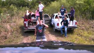 Dixie Harlem shake