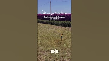 تلاوة هادئة تريح الاعصاب ❤️ قرآن كريم ❤️ بصوت جميل ❤️ تلاوة عطرة 😌
