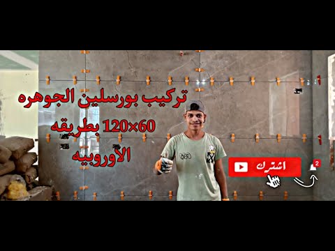 فيديو: القطط المرقطة: سلالة. قط مرقط بريطاني