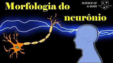 Qual a classificação morfológica de um neurônio?