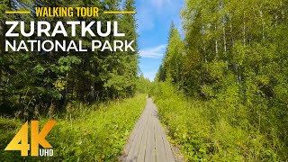 Relaxing Nature Walk in Zuratkul National Park in 4K  Hiking & Listening to Summer Forest Sounds