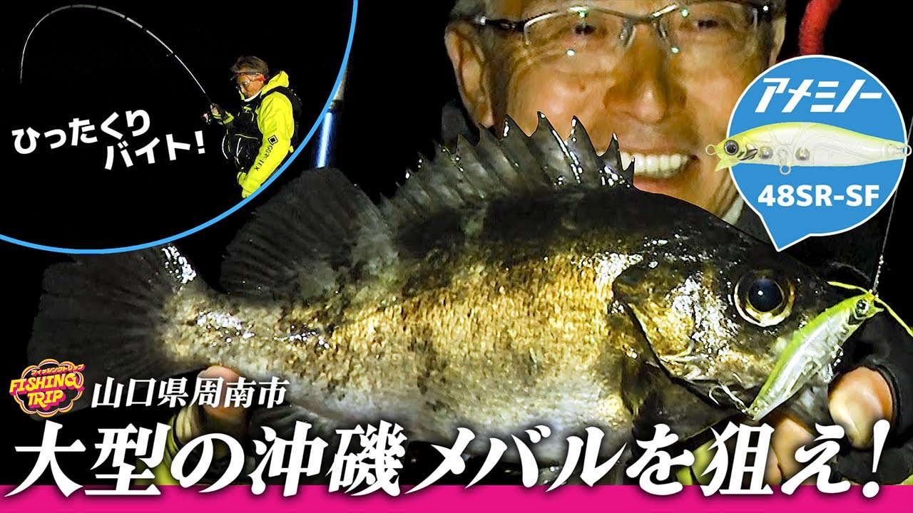 メバル・プラッギングのベストシーズン突入！ 村上晴彦 謹製のメバル