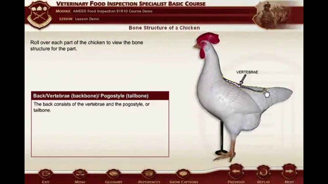 U.S. Army- Distributed Learning Education and Training Program (dLETP ...