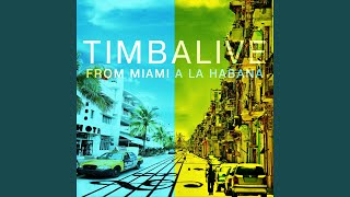 Video thumbnail of "Timbalive - Timba Pa' la Humanidad"