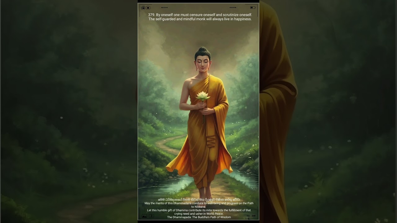 Buddha’s Path of Wisdom 