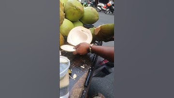 Best Machete for Coconuts   Tested & Reviewed