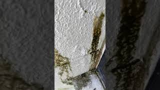 Annex 5.0b - 20211026 Water Leaking Video Taken from 103 #02 03 Balcony
