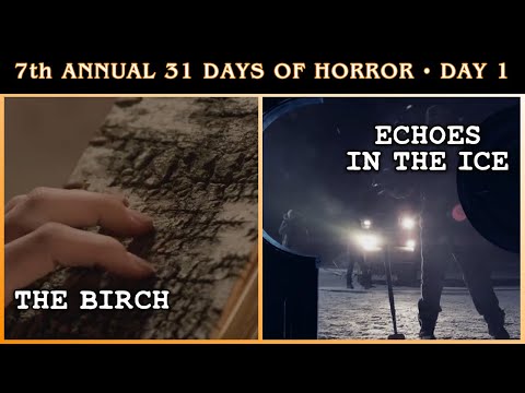 The Birch & Echoes in the Ice  •  October 2020  •  Day 1 Review