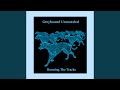 Greyhound Top Guns