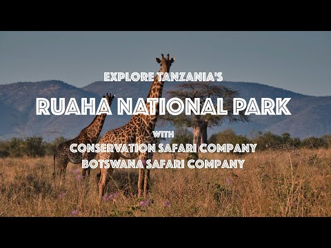 Explore Ruaha National Park with Conservation Safari Company