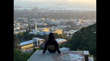 How Berkeley AI Camp Inspires Unique Projects?