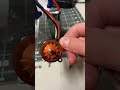 Weird noise on my new motor