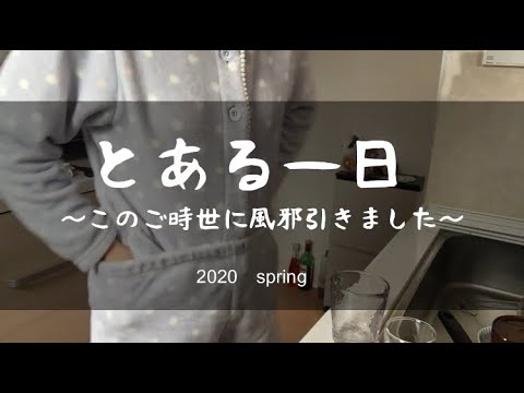 【妊娠中ワーママVlog】とある一日～このご時世に風邪を引きました～