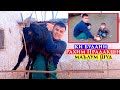 Якруз бошу мард бош.Ки будани Рахим Прадакшн малум шуд дар Фархор